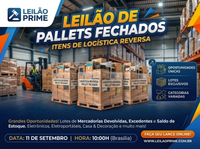LEILÃO DE PALLETS